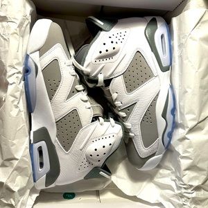 Cool Grey Air Jordan 6 Retro.